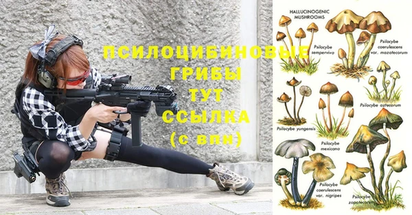 не бодяженный Пересвет