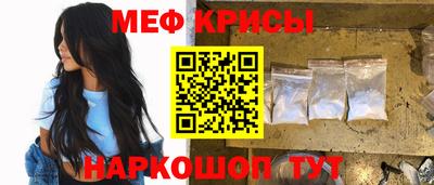стаф Гай