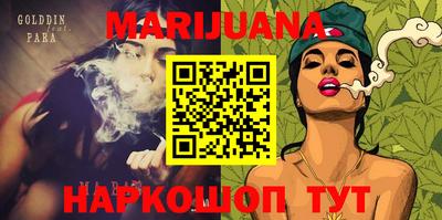стаф Гай