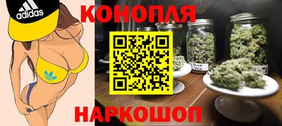 наркотики Гатчина