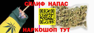 стаф Гай