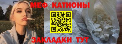 стаф Гай