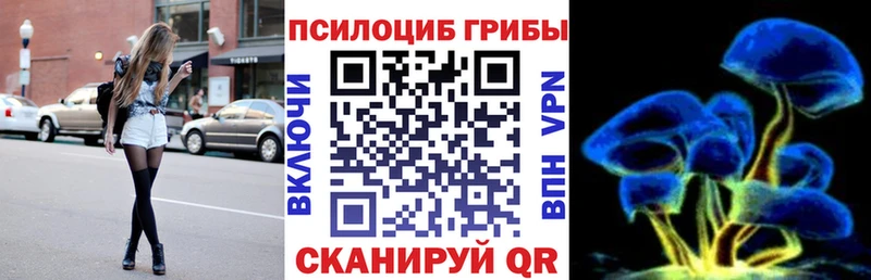 Галлюциногенные грибы GOLDEN TEACHER  omg зеркало  Ногинск 
