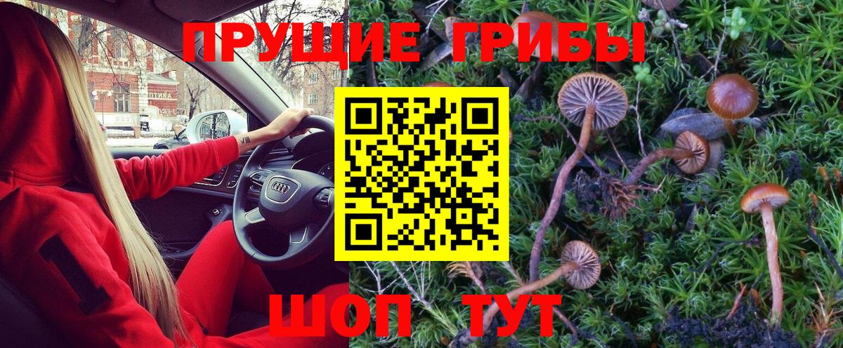Псилоцибиновые грибы Psilocybine cubensis  Вход с VPN  Ногинск  Псилоцибиновые грибы Cubensis 