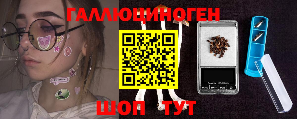 Псилоцибиновые грибы Psilocybe Ногинск