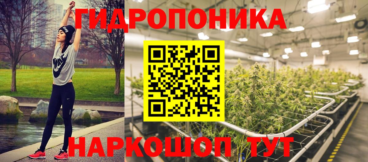 Марихуана Bruce Banner  Каннабис SATIVA & INDICA  Ногинск  Бошки Шишки Bruce Banner  Канабис ГИДРОПОН 